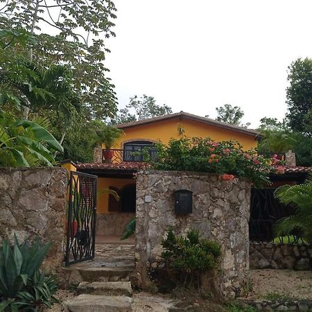 Casa Mango Bed and Breakfast Tulum Pueblo Buitenkant foto