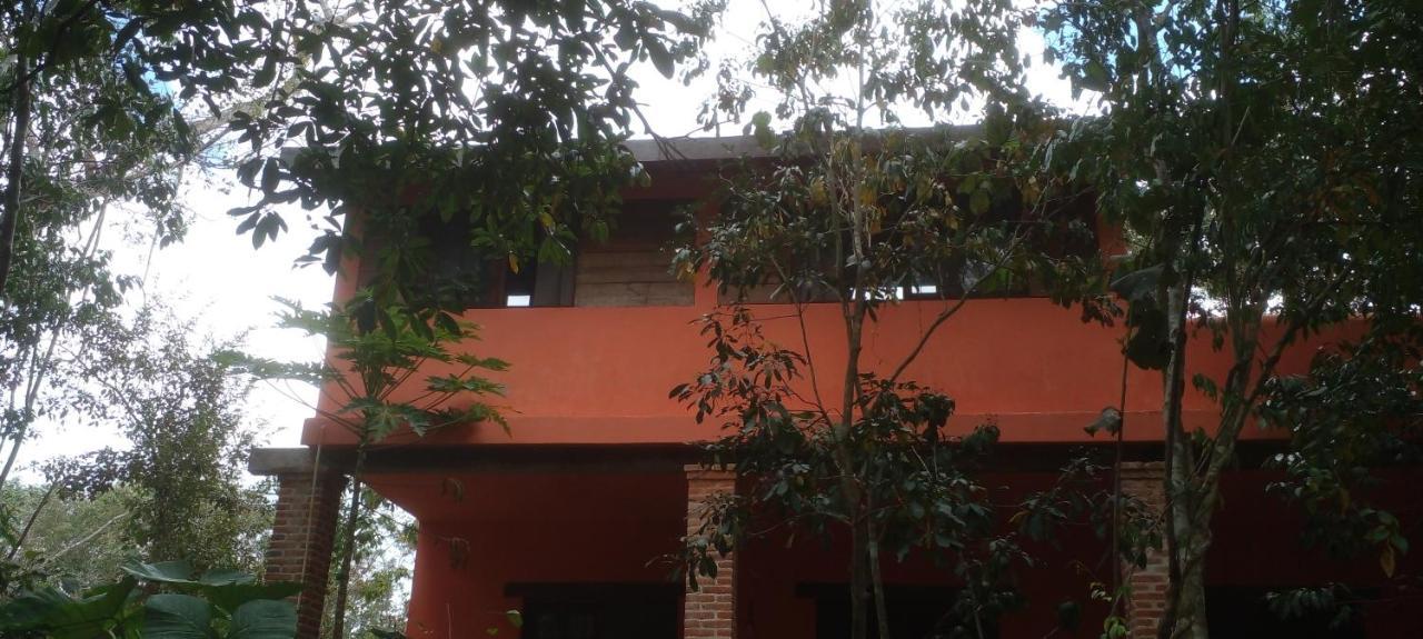 Casa Mango Bed and Breakfast Tulum Pueblo Buitenkant foto