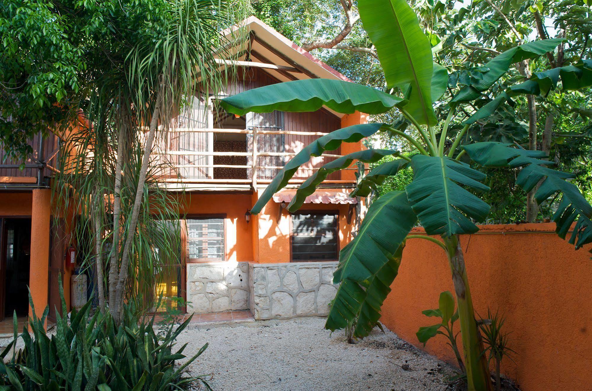 Casa Mango Bed and Breakfast Tulum Pueblo Buitenkant foto